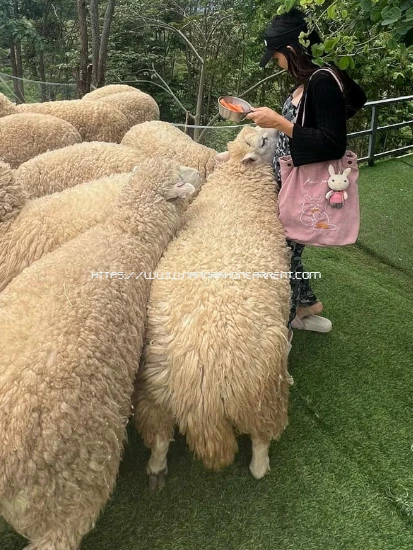 รถเช่า น่าน, รถเช่าน่านขับเอง, รถเช่าน่านวัน 600, รถเช่าน่านรับส่งสนามบินฟรี รถเช่า น่าน, รถเช่าน่านขับเอง, รถเช่าน่านวัน 600, รถเช่าน่านรับส่งสนามบินฟรี