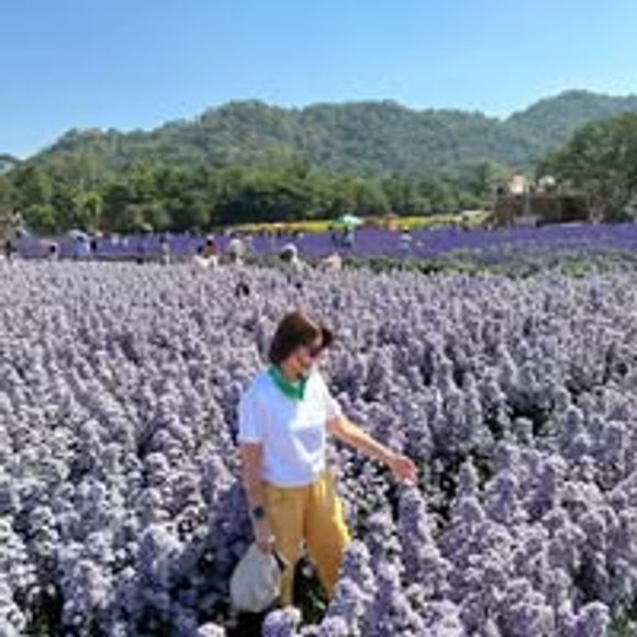 รถเช่า น่าน - รถเช่าน่านสำหรับขับเอง